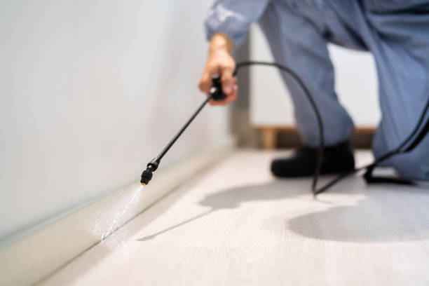 Professional exterminator conducting IPM assessment in Moss Point