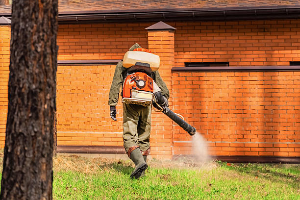 Top rated local Ant Control specialists in Moss Point, MS